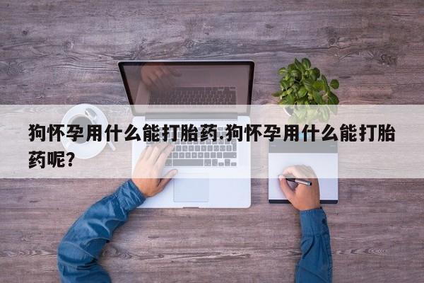 米非司酮片网上药店购买方式狗怀孕用什么能打胎药.狗怀孕用什么能打胎药呢？
