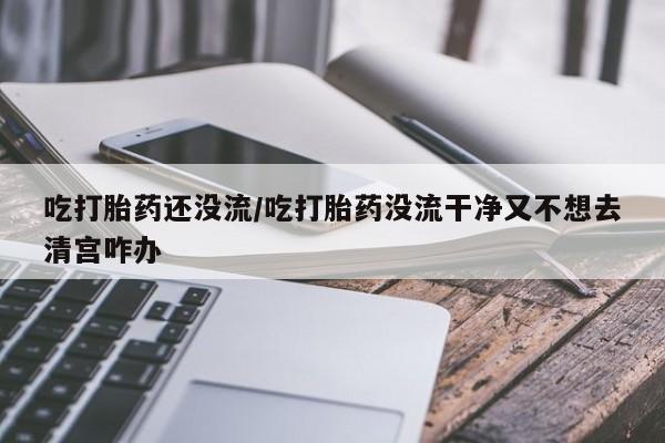 米非司酮片网上药店购买方式吃打胎药还没流/吃打胎药没流干净又不想去清宫咋办