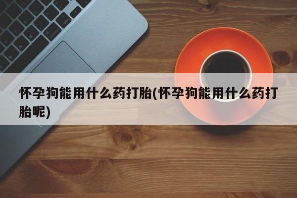 米非司酮片网上药店购买方式怀孕狗能用什么药打胎(怀孕狗能用什么药打胎呢)